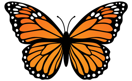 infants mascot, monarch butterfly | Barnesville Child Day Care Center